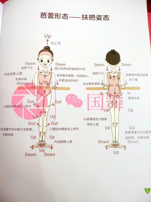 想学弄芭蕾怎么开始？零基础也能轻松入门的方法！