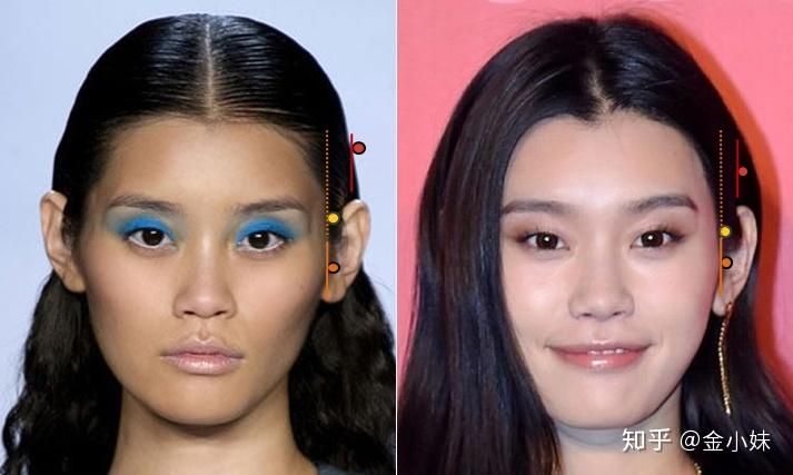 想找佐伯奈的详细资料？来看这篇全面的介绍吧。