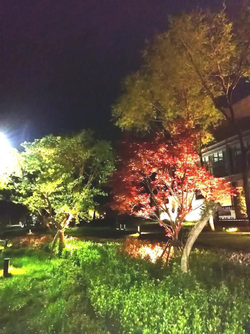 想找高质量的夜夜色？来这里每天都有更新等你哦！