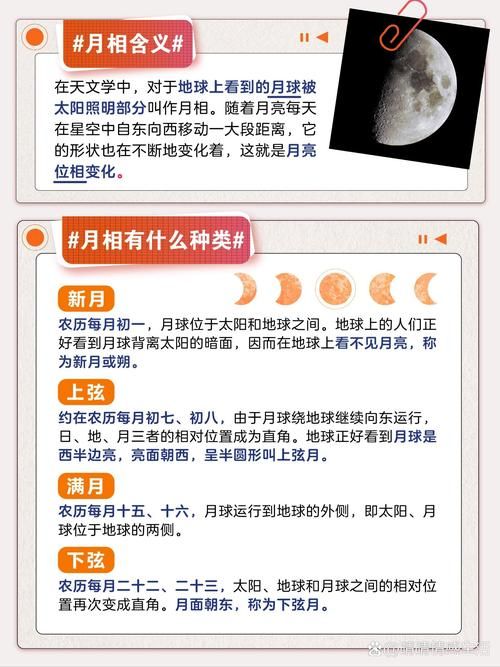 想知道月月鸟的出处吗？这里有详细介绍让你全了解！
