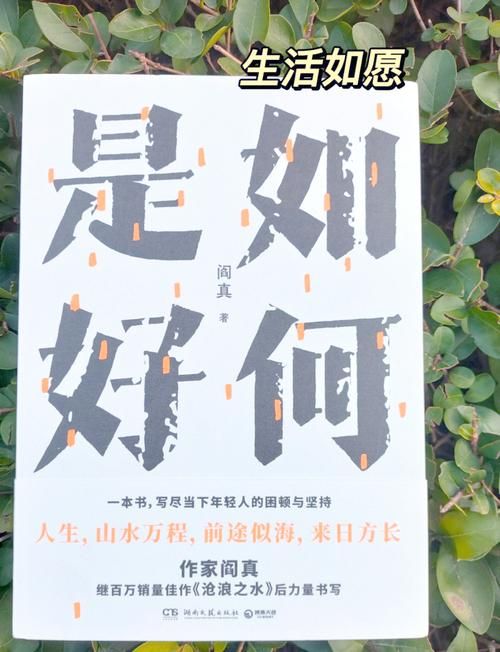 感到迷茫不知道怎么办？从现在开始学习如何找自己！