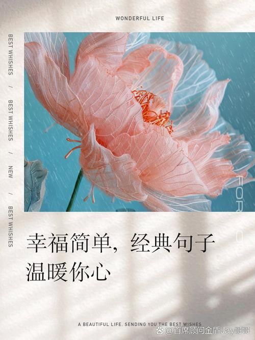 我只想要你一直陪着我，这种简单的幸福怎么获得？