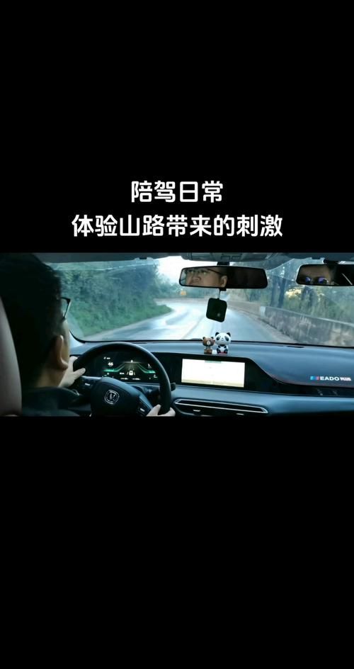 新手司机怕路太弯？掌握这几点轻松应对山路弯道！