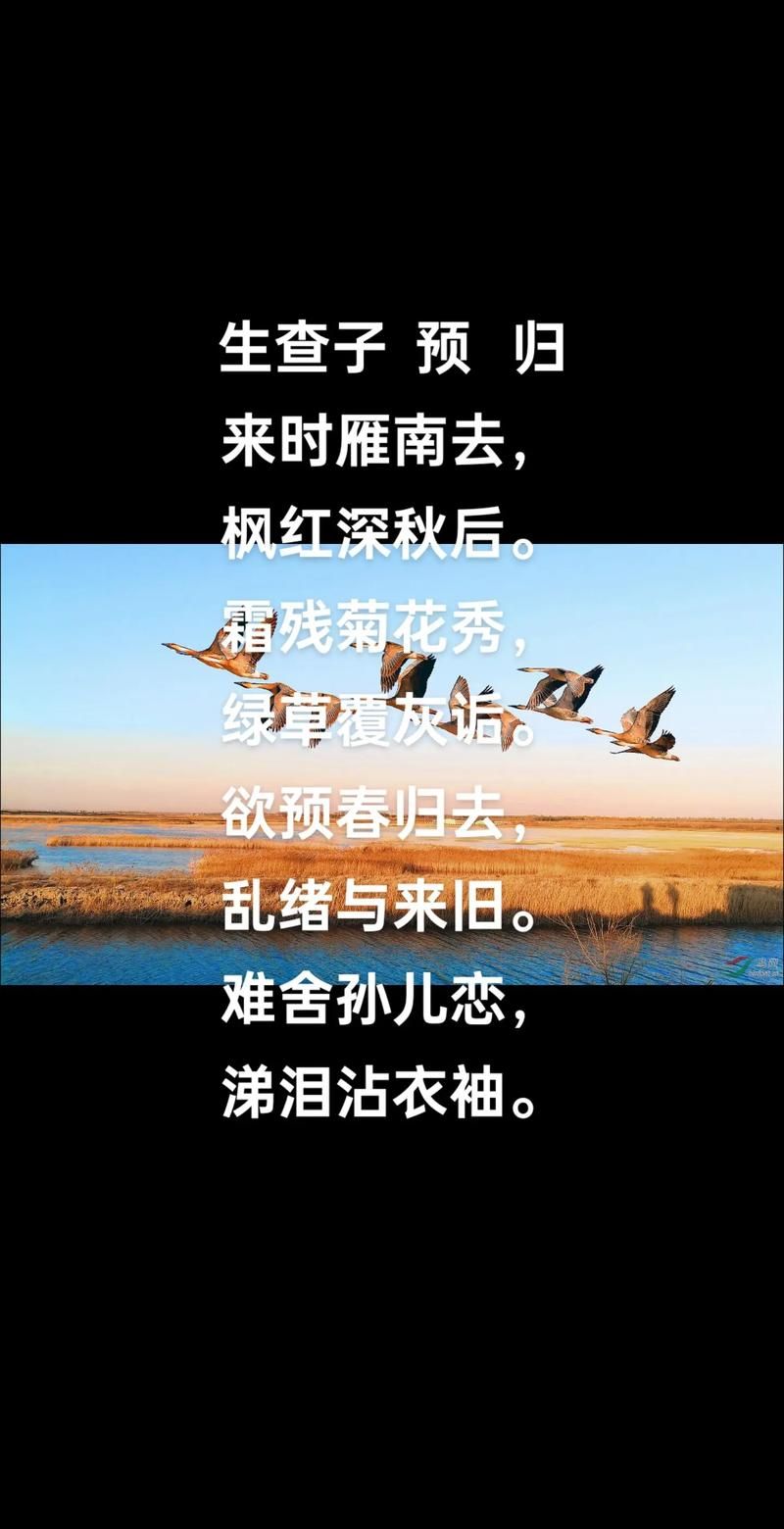 施孝荣的代表作是什么？归去来兮你肯定听过！