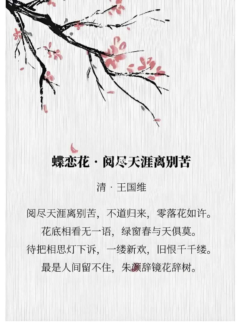 无言花代表什么意思？深入了解它背后隐藏的寓意！