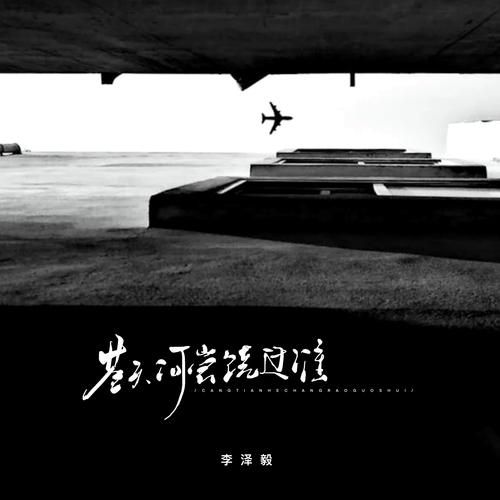 李泽雅有哪些值得关注的作品？盘点他过往的精彩成就。