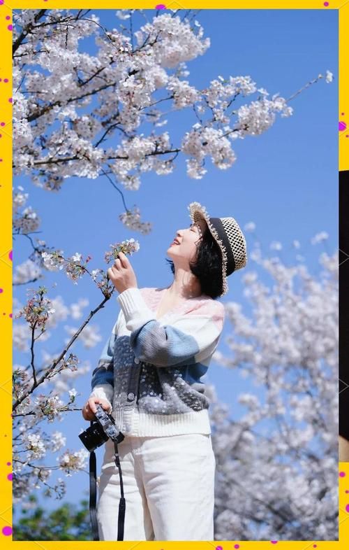 樱の花怎么拍才好看？几个简单技巧拍出大片感！