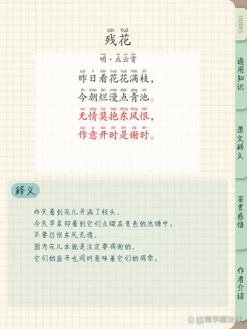 残花谢代表什么寓意？不只是结束也可能是新开始。