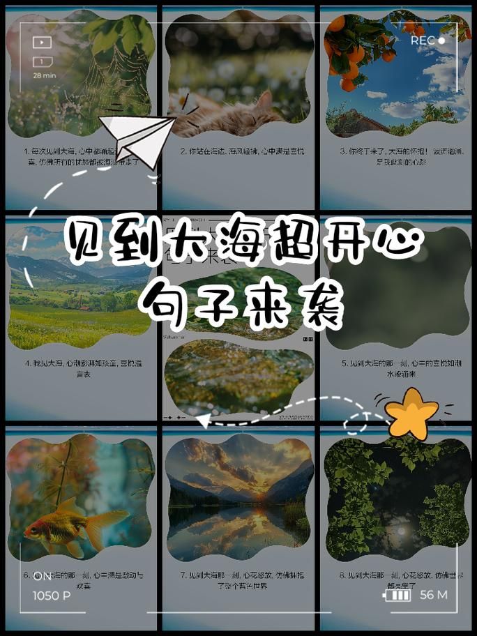 每次看到啊大海都好激动！聊聊大海在我们心中的特殊意义！