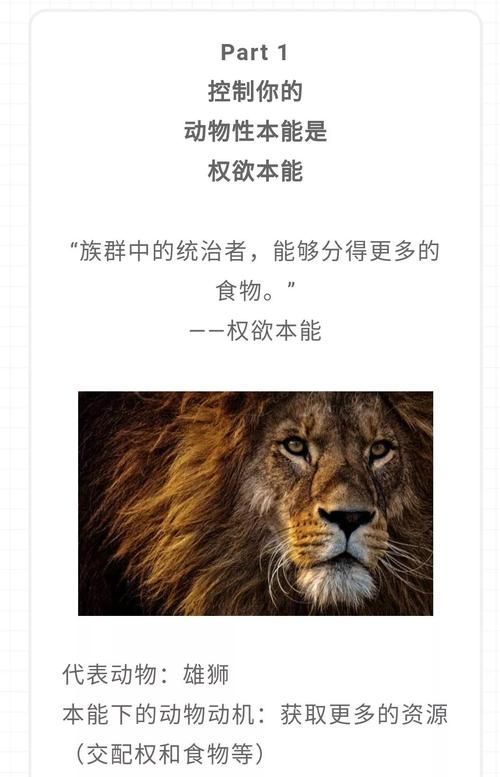 深入探索云儿非的内心世界，感受不一样的她！