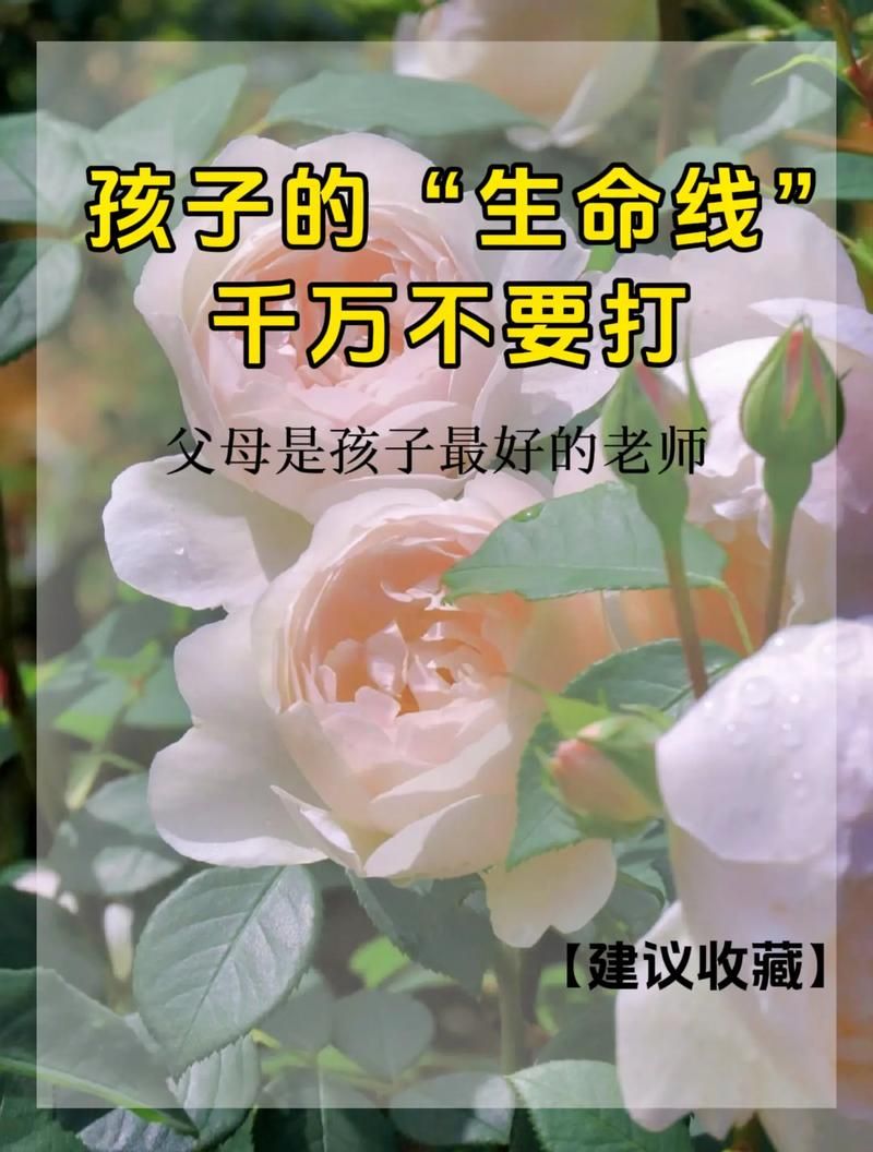 爸妈好到底有多重要？这篇文章告诉你子女应该怎么做。