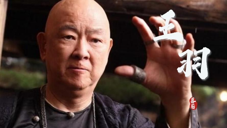王羽臣的演技怎么样？专业人士带你深度分析一下。