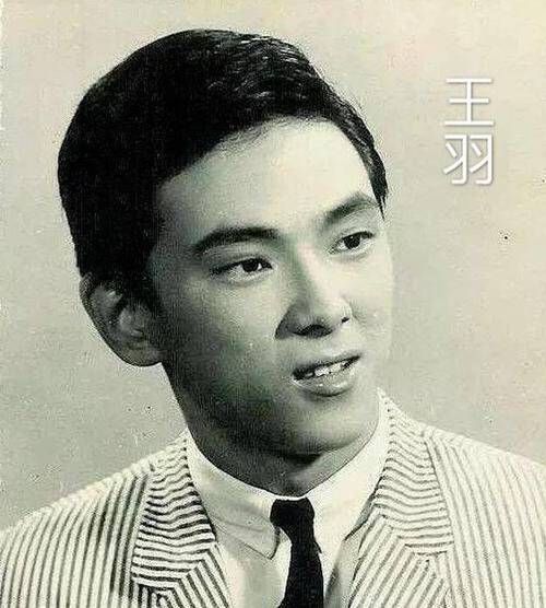 王羽臣的演技怎么样？专业人士带你深度分析一下。