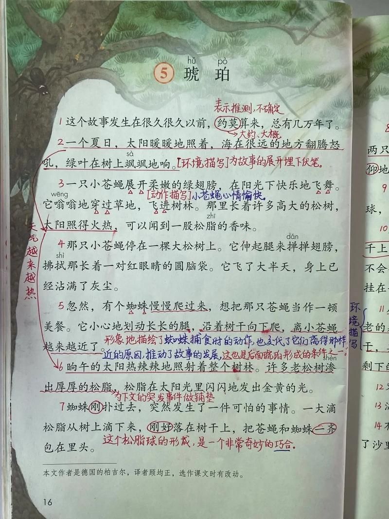 琥珀歌为什么这么火？了解它受欢迎的真正原因！