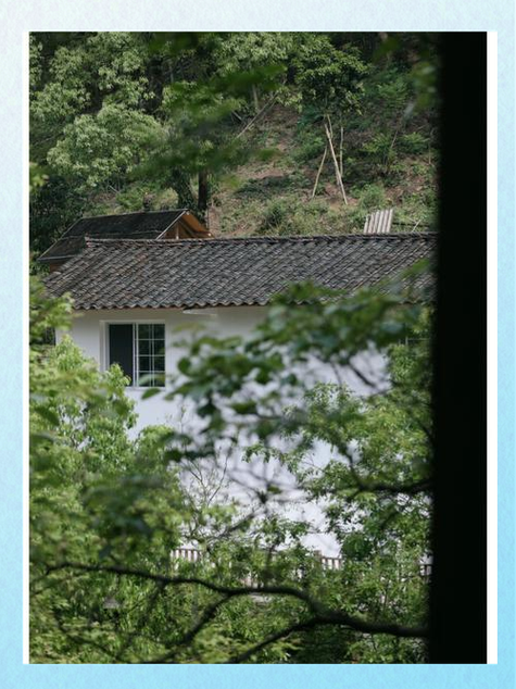 真实的居山植是怎样的？听听过来人分享山居故事。