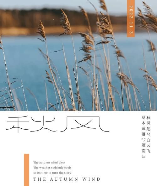 秋风殇是什么意思？深度解读这种秋日特有的伤感氛围。