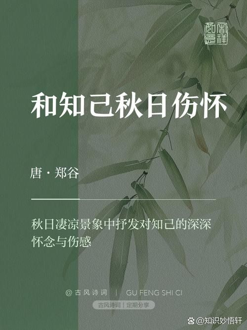 秋风殇是什么意思？深度解读这种秋日特有的伤感氛围。