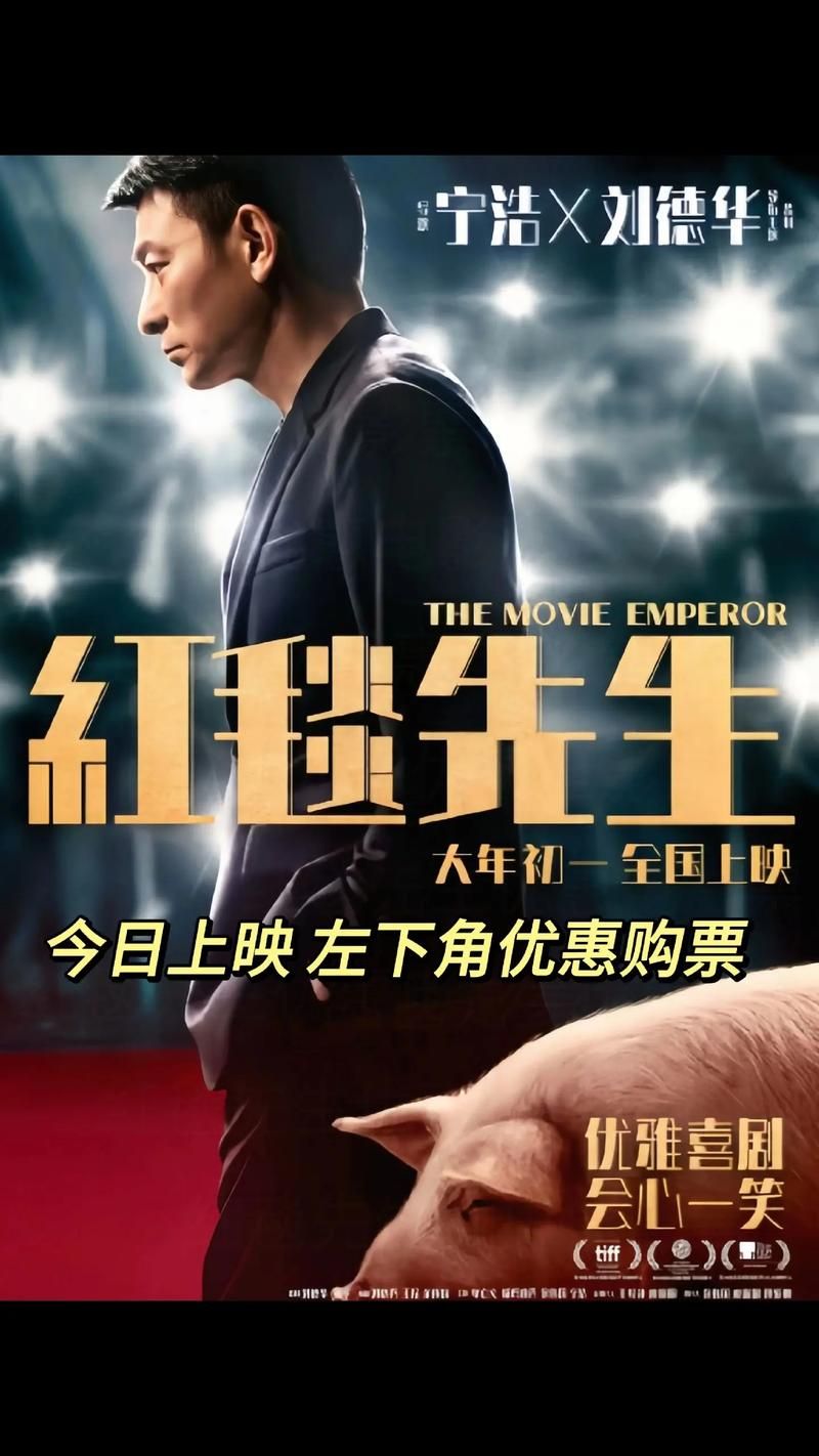 红先生最近在忙什么？一文带你了解他的最新动态！