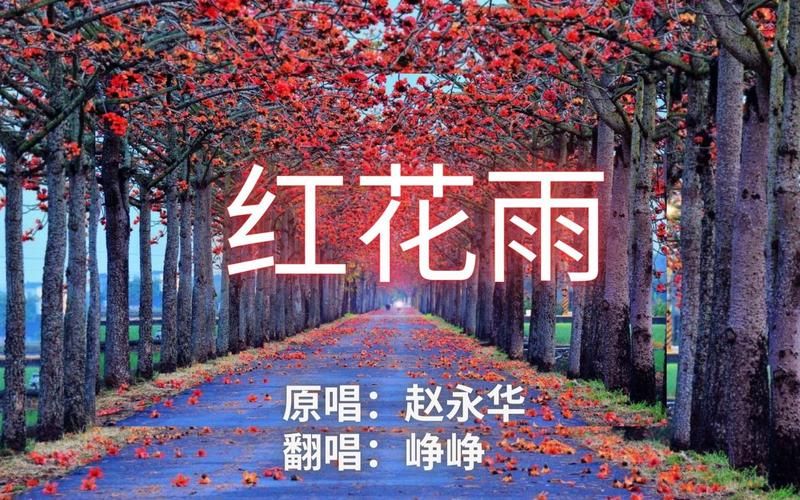 红花雨是谁唱的歌曲？了解原唱和不同翻唱版本！