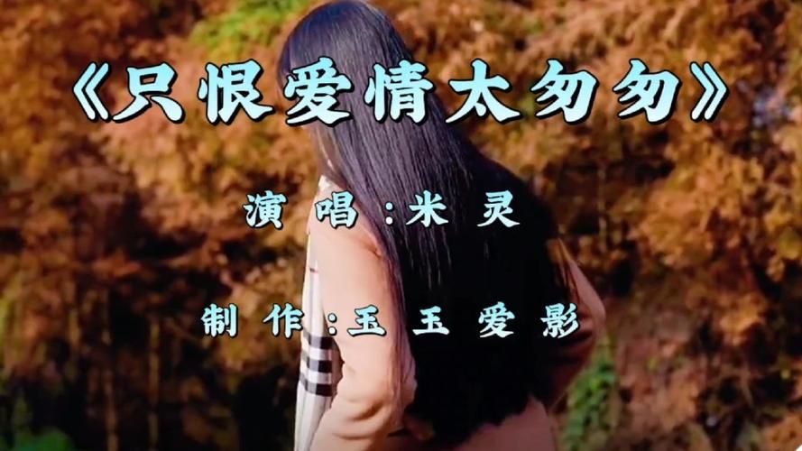 经典情恨歌推荐几首？盘点那些触动人心的旋律