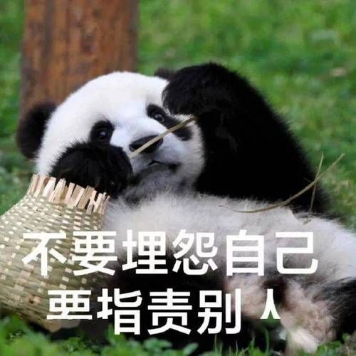 聊天必备吼吼吼表情包，这些斗图神器让你停不下来！