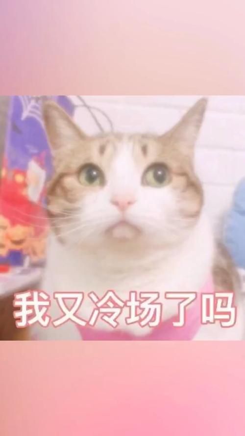聊天必备吼吼吼表情包，这些斗图神器让你停不下来！