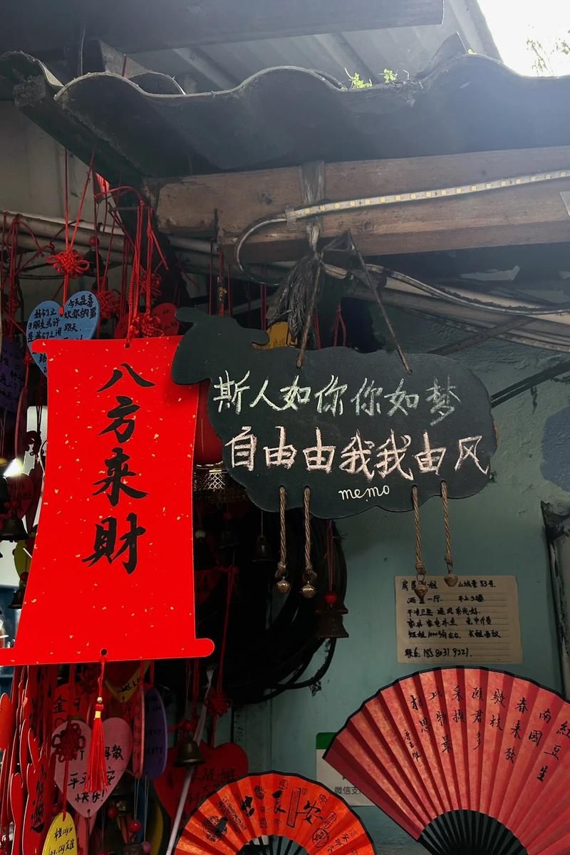 自由吧是什么感觉？体验过的人都说真的太爽了！