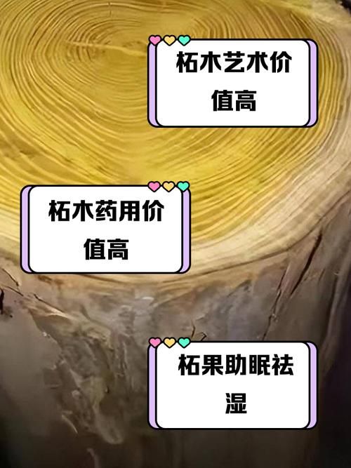 色木木一般用来做什么？这些常见用途你都知道吗？