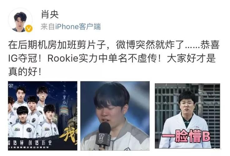 芙蓉说到底讲了什么？看完这篇你就全明白了！