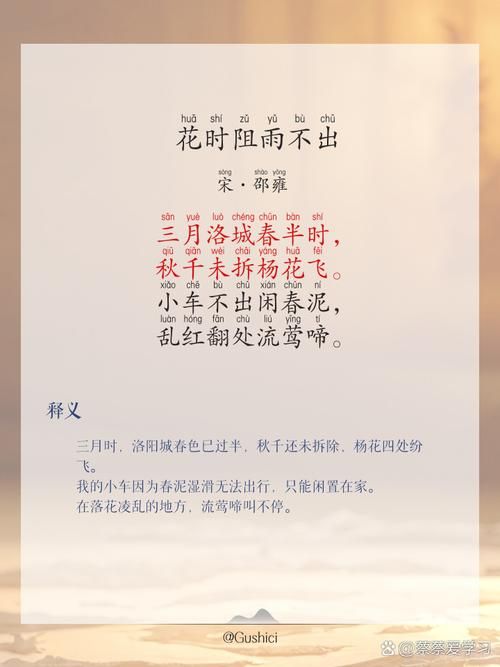 花之雨的寓意是什么？了解背后感人肺腑的故事。