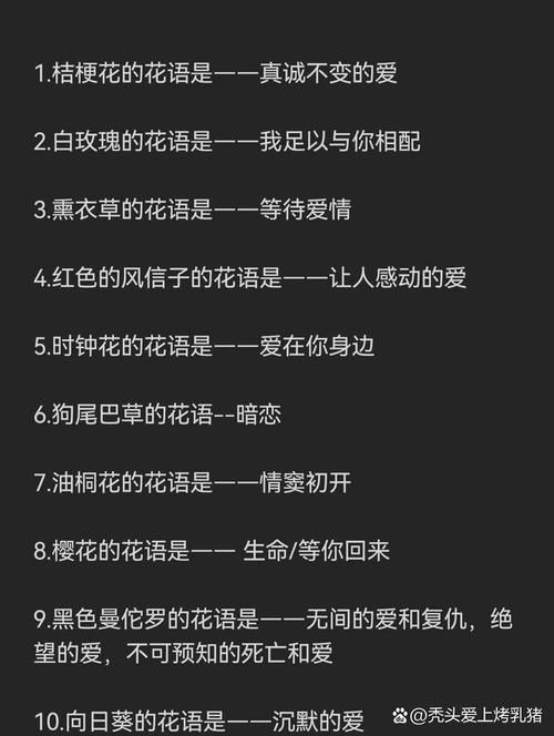 花儿说都代表什么意思？教你快速看懂各种花语！