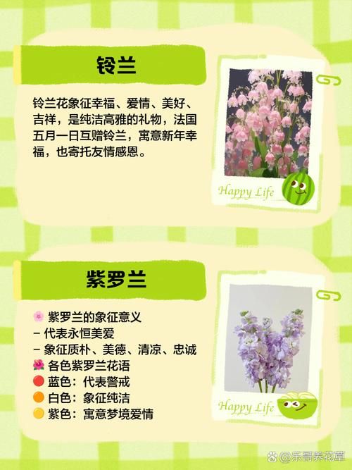 花儿说都代表什么意思？教你快速看懂各种花语！