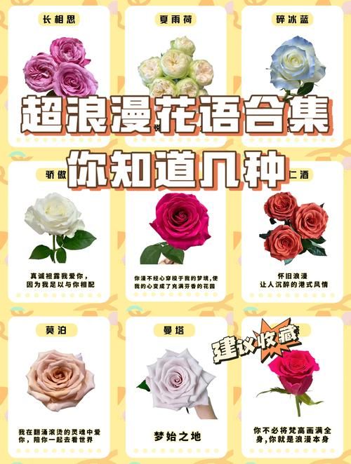 谁是花语者？带你了解如何与花朵进行沟通交流。
