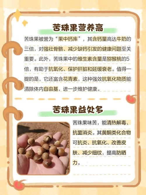 豆豆果的功效与作用有哪些？常吃对身体有什么帮助？