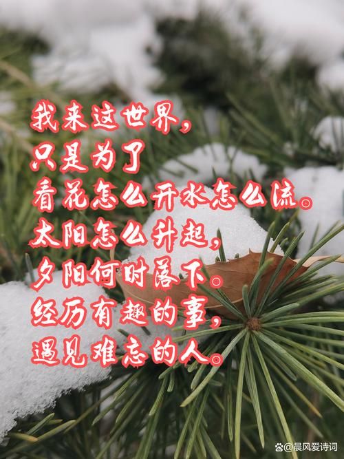 阚庆达是谁？ 这篇文章带你全面了解他的人生经历