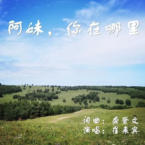 阿妹妹组合有哪些好听的歌？这几首经典歌曲值得回味！
