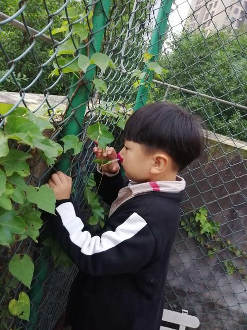 陈昕亮是谁啊？(这里有关于陈昕亮的详细介绍)