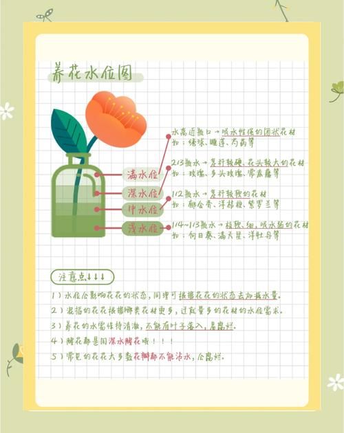 雨天对花好不好？揭秘花和雨之间的微妙养护关系！