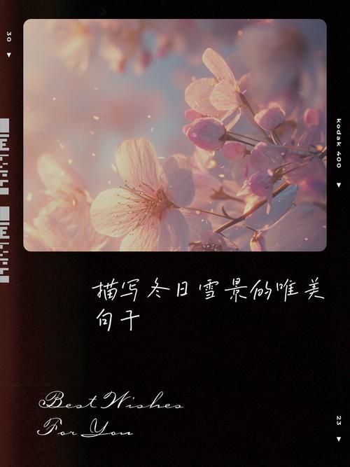 雪飞花怎么形容才贴切？教你几句描写雪景的话。