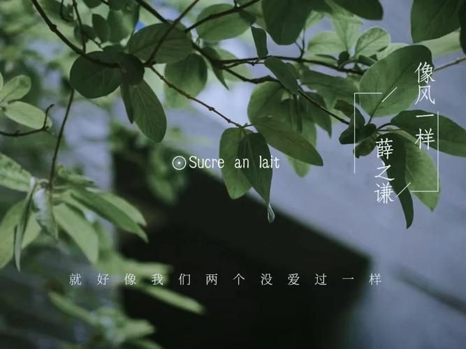 青衣谣这首歌讲了什么故事？听懂歌词后让人心疼。