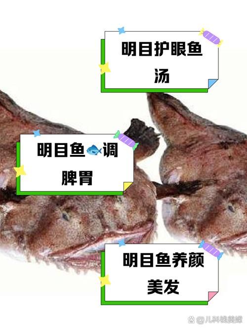 鱼的泪是什么样的？了解鱼类眼睛的结构与功能！