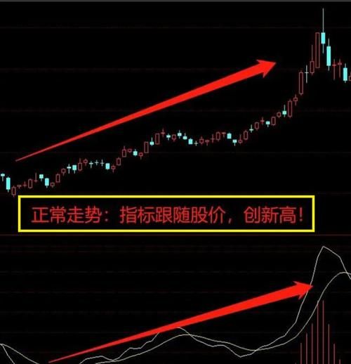 龙之魂快速升级技巧分享，大神教你少走很多弯路！