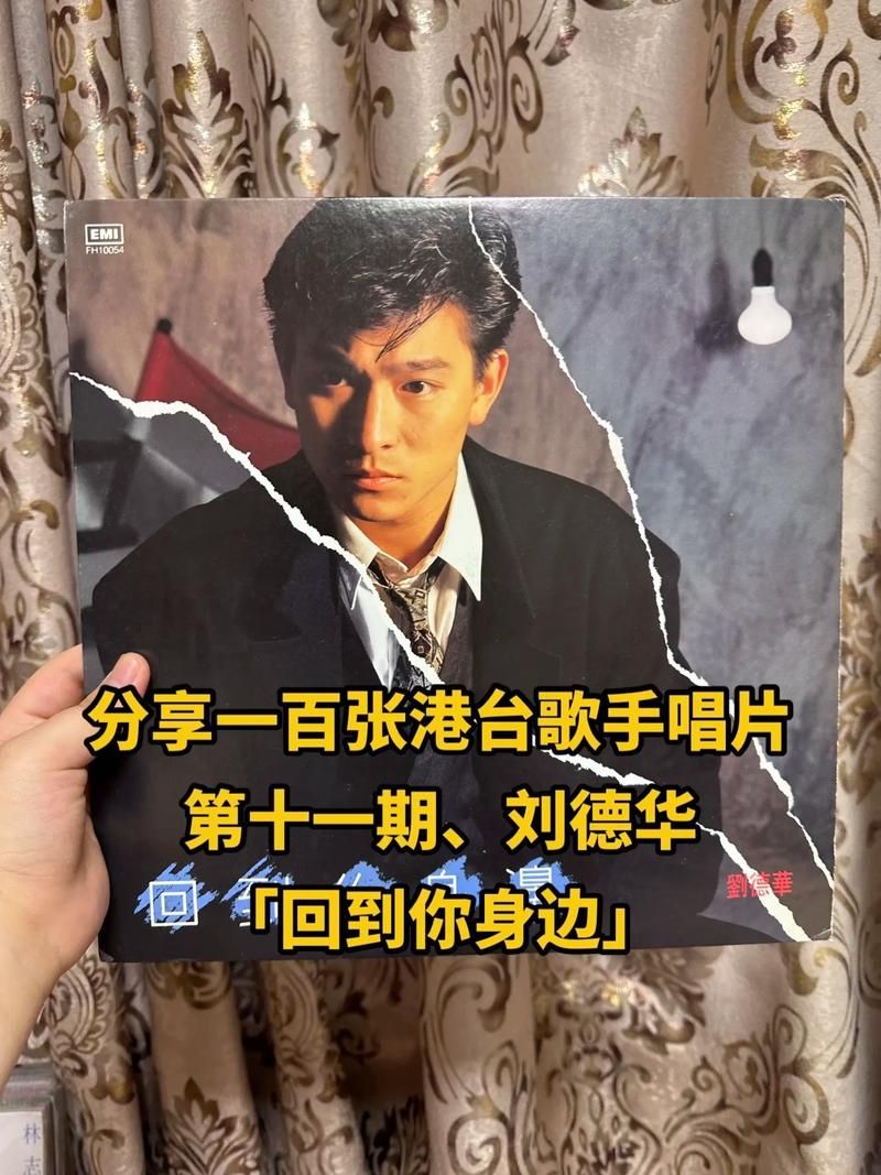 2001年刘德华演唱会完整歌单 这些金曲你都会唱吗