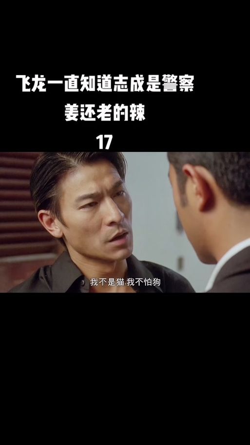 90年代港片飞龙刘德华：那些年我们追过的经典