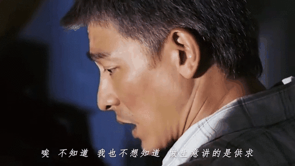三重刘德华：你不知道的华仔背后故事