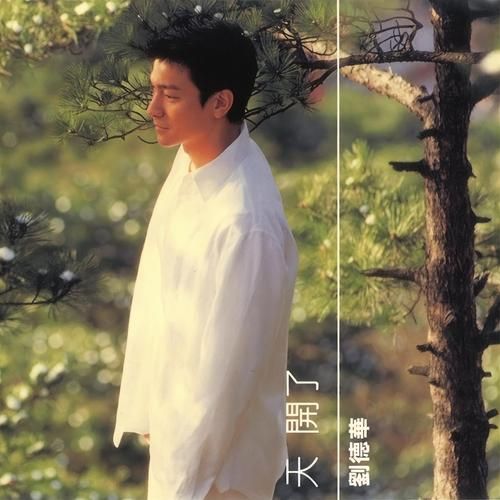 不能没有你刘德华粤语版试听与歌曲情感分析