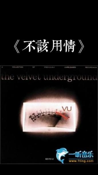 不该用情原唱是谁为何张学友版本更受欢迎