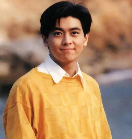 中国有比刘德华帅的吗 盘点那些颜值逆天的男星