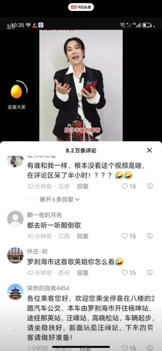 为什么很多人讨厌那英 从好声音到网络争议