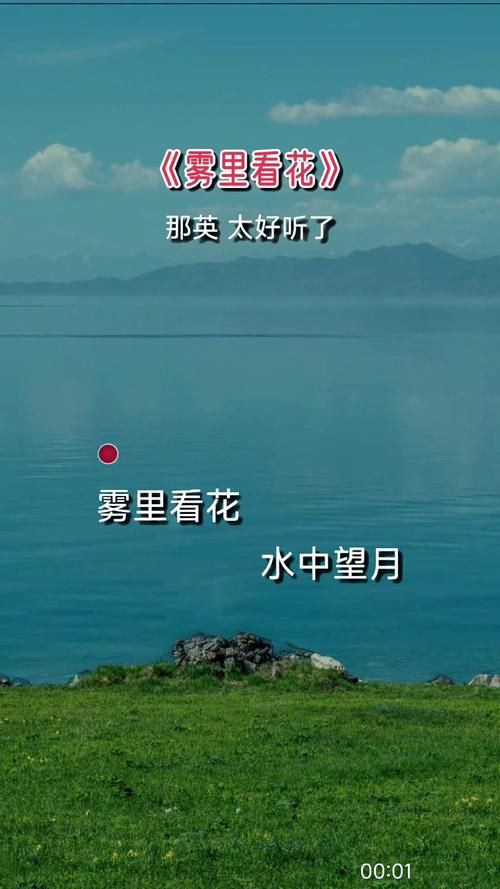 为什么那英歌曲雾里看花能成为经典